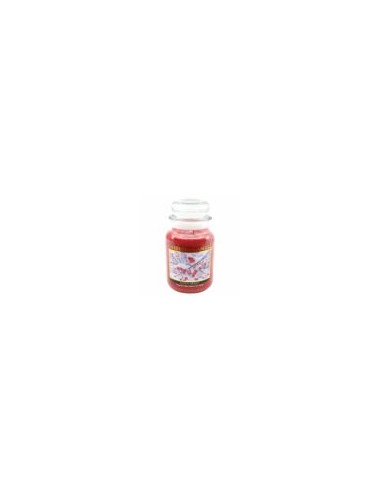 Candela Cheerful grande- OFFERTA !!
