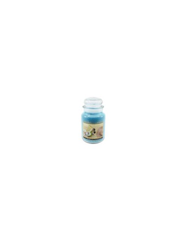 Candela Cheerful media- OFFERTA !!
