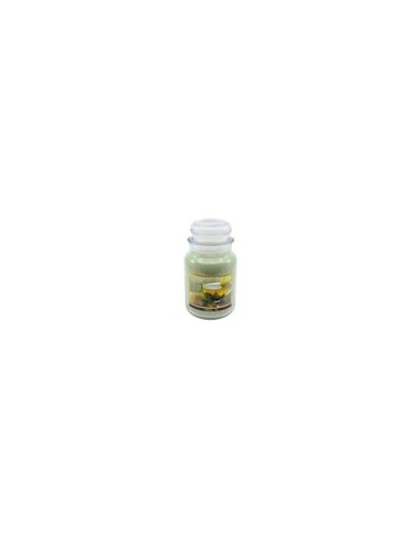 Candela Cheerful media- OFFERTA !!